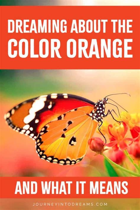 The Dynamic Hue of Orange: Significance in Dreams