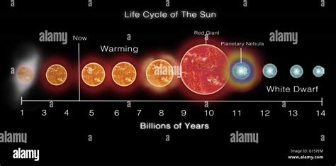 The Early Years: Discovering July Sun's Beginnings