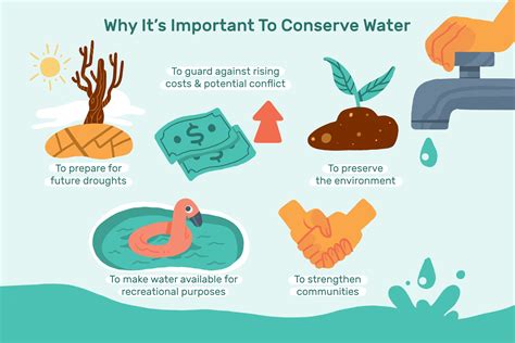 The Ecological Significance of Preserving Spring Water Resources