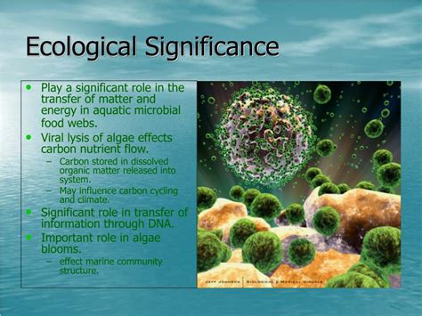 The Ecological Significance of Verdant Algae