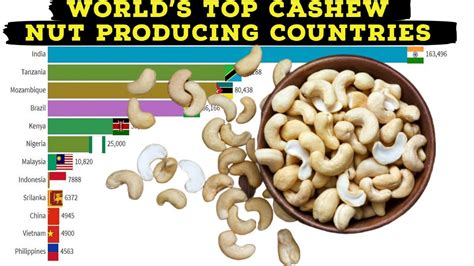 The Economic Impact of Cashew Nut Production