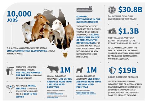 The Economic Impact of the Cattle Industry: Empowering Rural Livelihoods