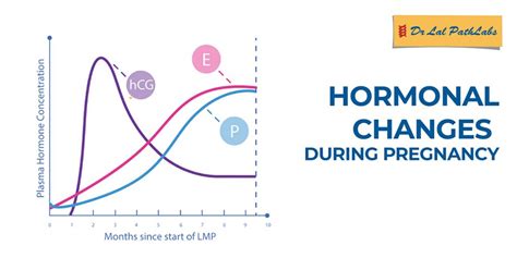 The Effect of Hormonal Fluctuations during Pregnancy on Emotional Well-being