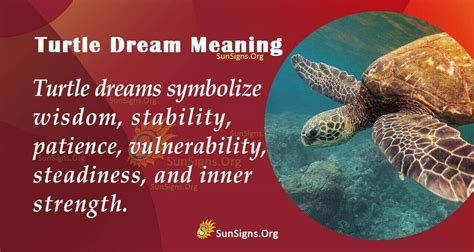 The Elaborate Universe of Turtle Dreams: Decrypting the Symbolism