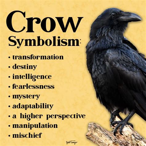 The Elusive Realm of Crow Symbolism