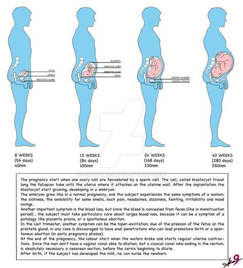 The Emergence of Male Pregnancy in Science Fiction