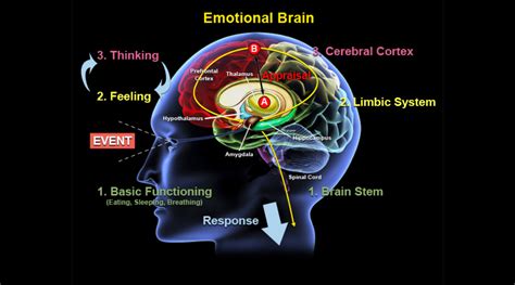 The Emotional Impact: Understanding the Feelings Associated with the Dream