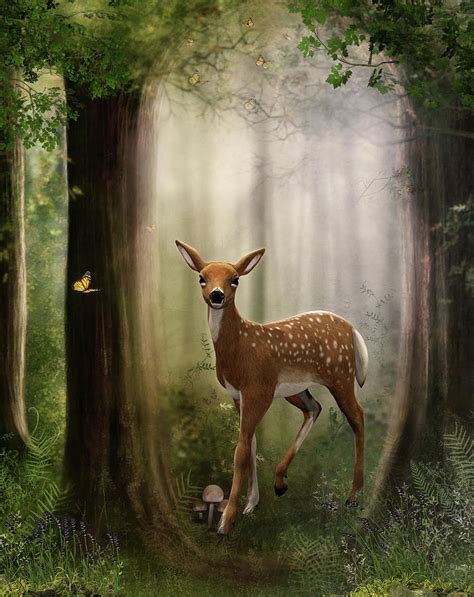 The Enchanting Appeal of a Fawn as Your New Domestic Delight