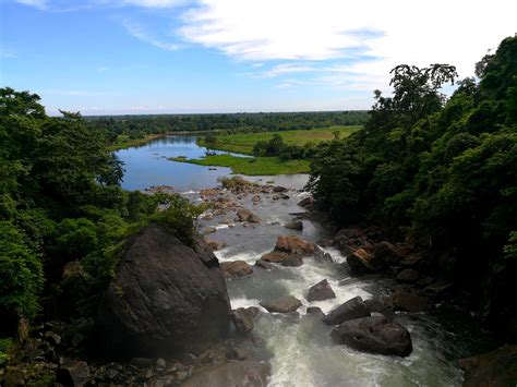 The Enchanting Attraction of Everflowing Water