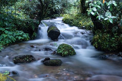 The Enchanting Beauty of a Small Cascading Stream