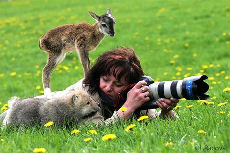 The Enchanting Connection Between Humans and Animals