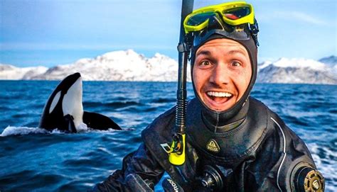 The Enchanting Encounter: Diving into the World of Magnificent Orcas