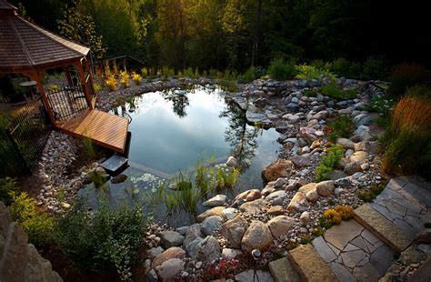 The Enchanting Magic of Natural Swimming Pools