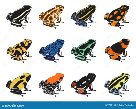 The Enchanting Palette of Poison Frogs