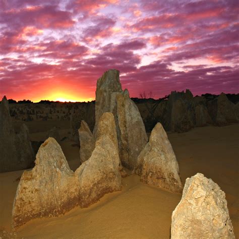 The Enchanting Realm of Papaveraceous Pinnacles