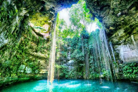 The Enchanting Splendor of Mexico's Cenotes