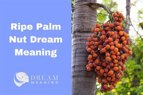 The Enchanting Symbolism of Palm Nuts in Dreams