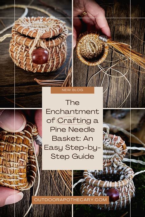 The Enchantment and Enigma of Imagining Pine Needles