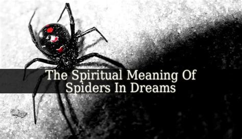 The Enchantment of Arachnids in Dreams