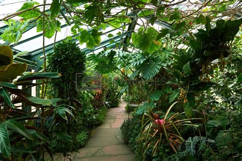 The Enchantment of Exploring a Breathtaking Botanical Sanctuary in Visions