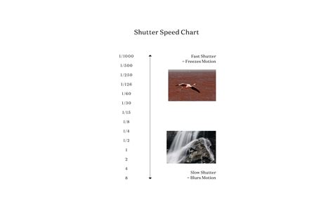 The Enchantment of Freeze Frames: Seizing Split Seconds with Shutter Speeds