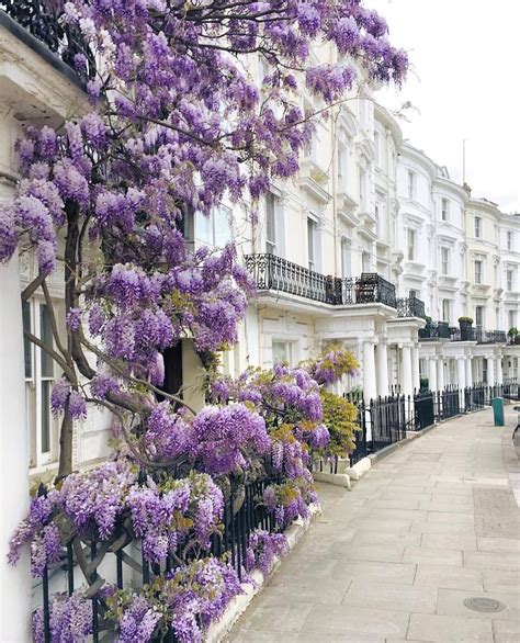 The Enchantment of Lavender Confections