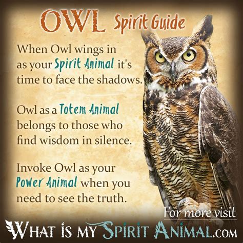 The Enchantment of Owls: Folklore and Symbolism