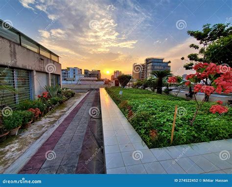 The Enchantment of Rooftop Contemplation: Discovering Serenity in the Skies