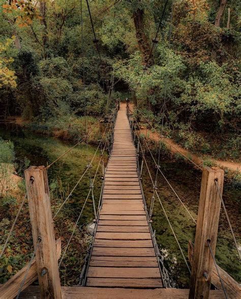 The Enchantment of Swinging Bridges: An Exquisite Blend of Thrill and Grace