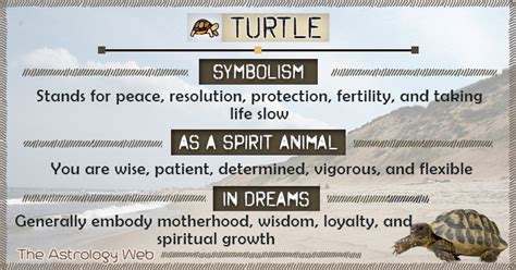 The Enchantment of Turtles in Dreams: Revealing the Symbolic Importance