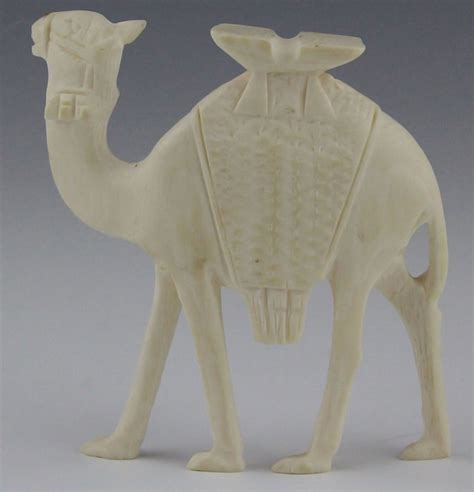 The Enchantment of the Ivory Dromedary