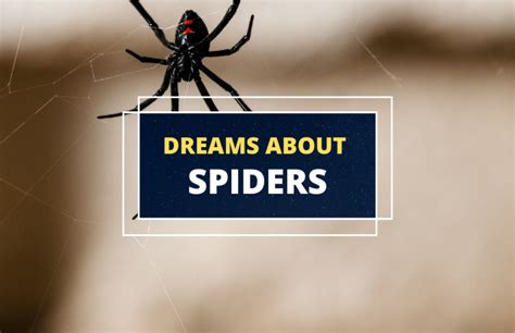 The Enduring Presence of Spiders in Dreams