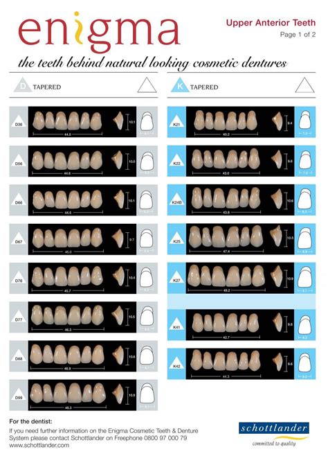 The Enigma Behind Vibrating Teeth in Fantasies