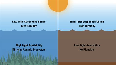 The Enigma of Turbid Aquatic Environments