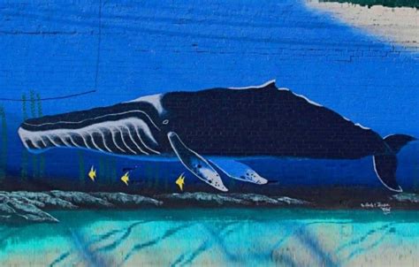 The Enigmatic Allure: Whales in Mythology and Folklore