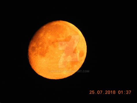 The Enigmatic Allure of the Tangerine Lunar Gleam