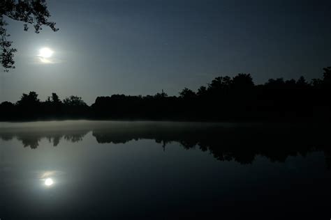 The Enigmatic Beauty of a Moonlit River