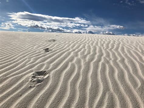 The Enigmatic Beauty of a Vision of Wind-swept Sand: An Unforgettable Encounter