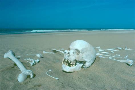 The Enigmatic Imagery of Skeletons in Aquatic Environments