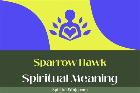 The Enigmatic Link Between Dreams Involving Sparrow Hawks and Spiritual Connection