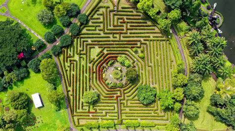 The Enigmatic Maze of Dreams: Decoding the Significance and Interpretations