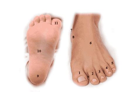 The Enigmatic Messages: Deciphering the Meaning of Moles on Your Feet