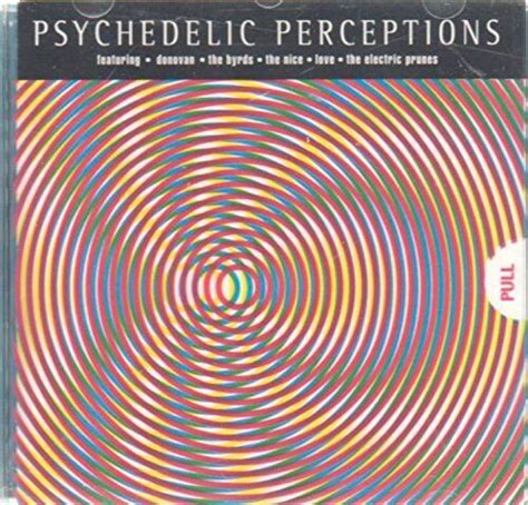 The Enigmatic Nature of Psychedelic Perception