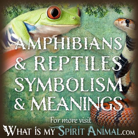 The Enigmatic Nature of Rose-Colored Amphibian Reveries: Decoding the Meanings and Implications They Conceal