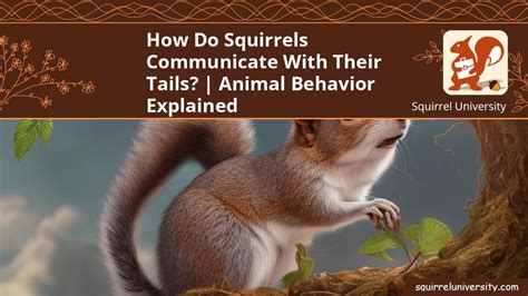 The Enigmatic Occurrence: Understanding Squirrel Communication