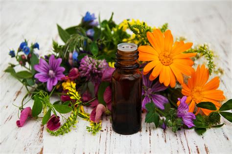 The Enigmatic Power of Floral Scents: Unveiling the Mysteries of Aromatherapy