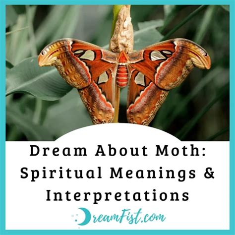 The Enigmatic Presence of Moths in Dreams