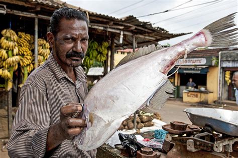 The Enigmatic Presence of the Fish Vendor in Dreams: An Intriguing Symbol