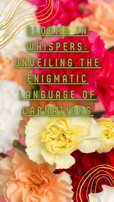 The Enigmatic Qualities of Carnations