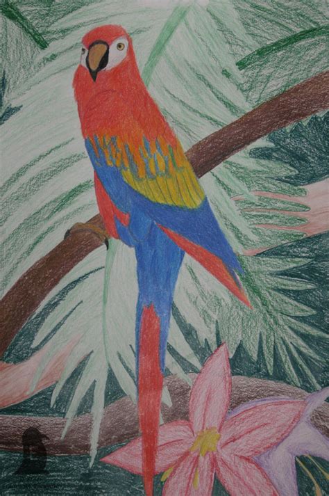 The Enigmatic Scarlet Parrot: A Representation of Passion and Exquisiteness